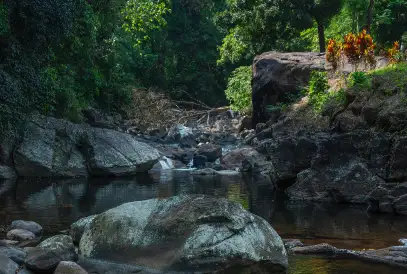 karthakaad-maney-img