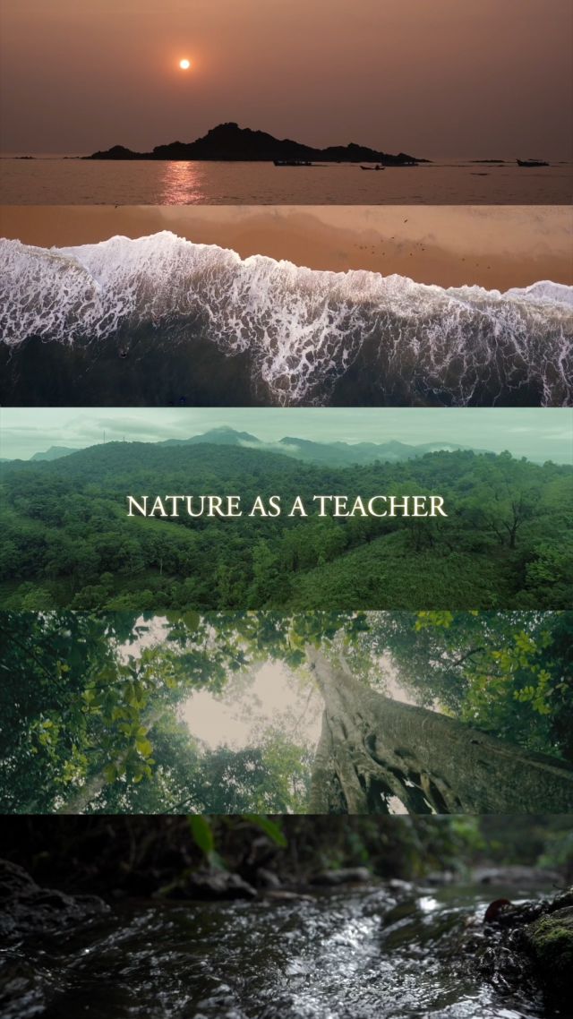 At CGH Earth, every experience is an opportunity to learn from nature. Our forests, deeply intertwined, breathe life into the same rivers that flow with force capable of carving through rocks, embodying a harmony of softness and strength teaching us life lessons in every moment. Your travel will go beyond mere relaxation—offering lessons from the earth itself.

Take your next holiday to discover the wisdom of nature. She’s speaking. Are you listening?

#MeAndCGHEarth #Sustainable #CGHEarth #CGHEarthExperiences #SustainableTourism #ResponsibleTourism #NatureBrilliance #natureplay #natureinfocus