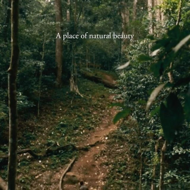 There is no place like home. Happy Kerala Piravi from the CGH Earth family. 

#MeAndCGHEarth #CGHEarth #CGHEarthExperiences #KeralaPiravi #KeralaTravel