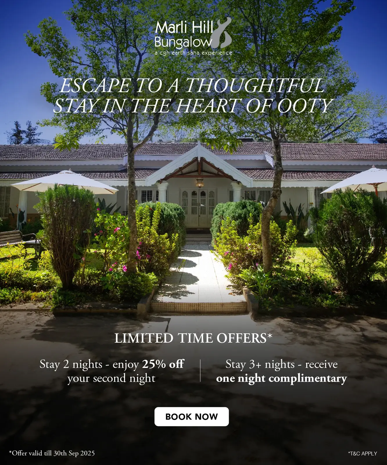 offer popup-img