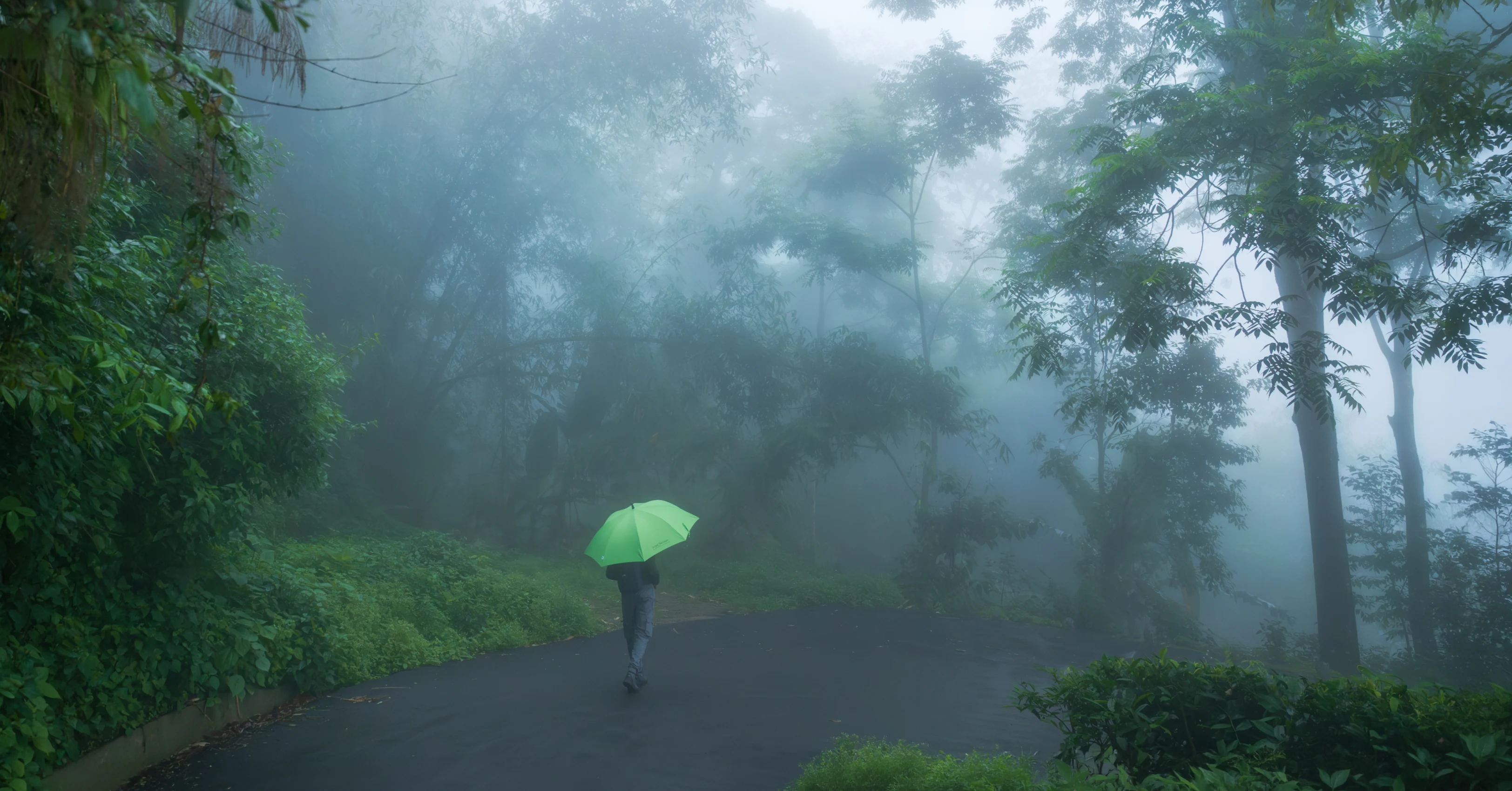 Nature-Image1