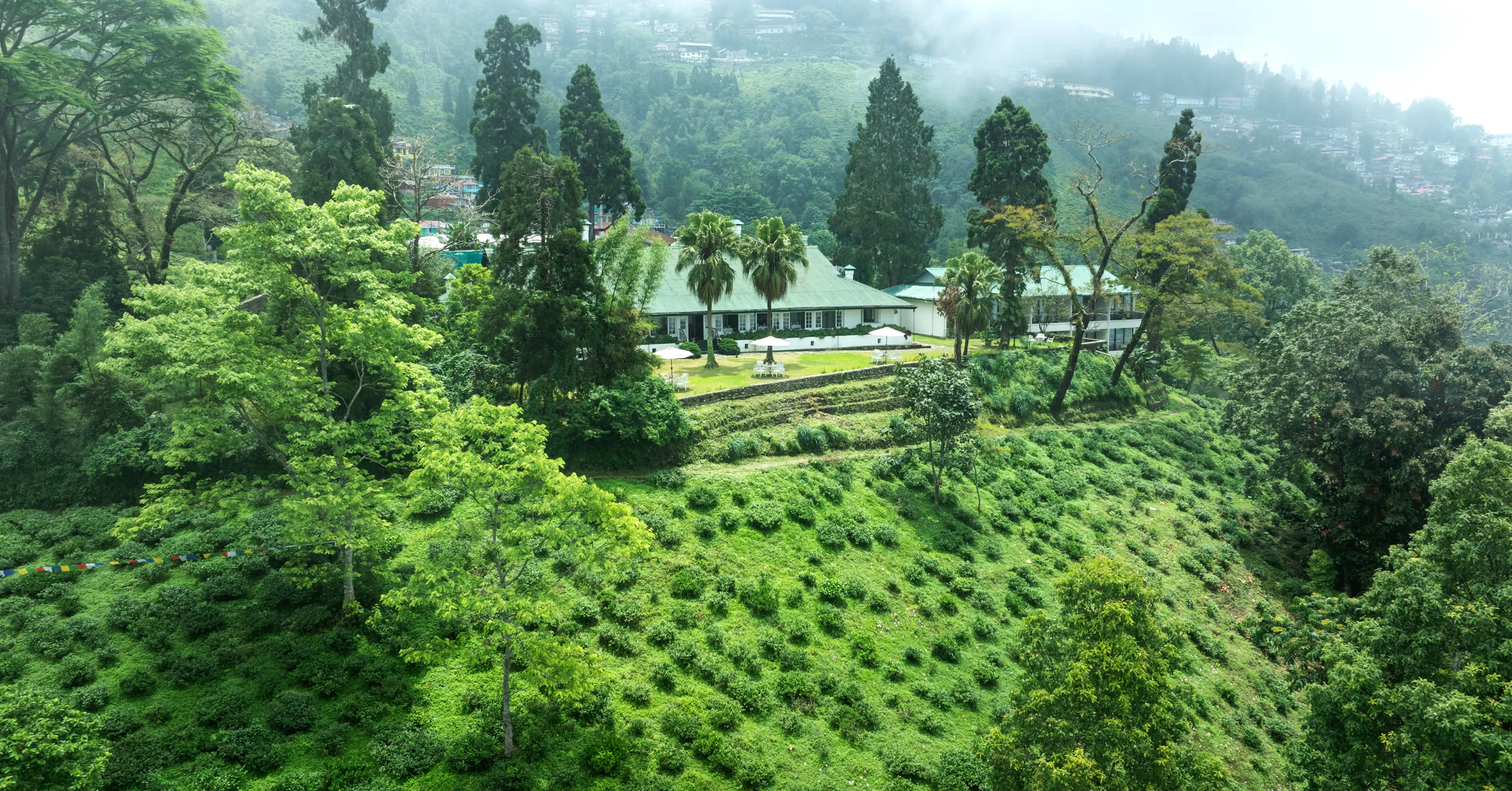 Nature-Image3