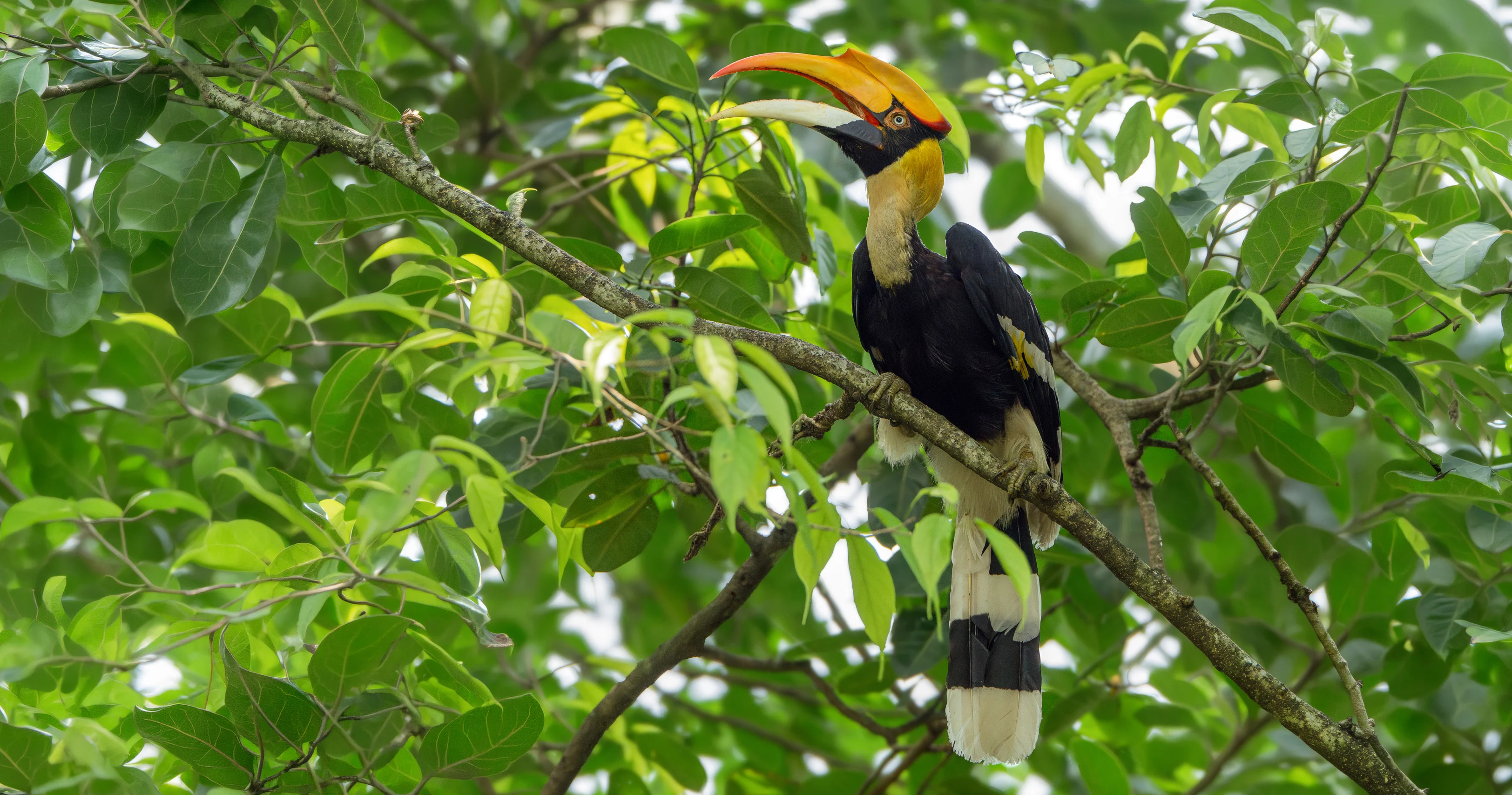 Nature-Image5