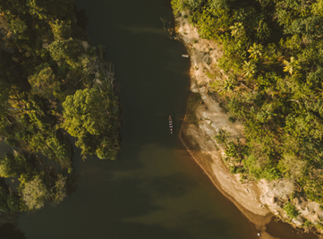 20190520120442pmquiet-by-the-river-periyar.jpg