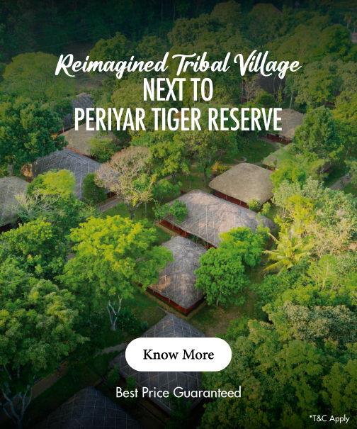Holiday in the hills of Thekkady